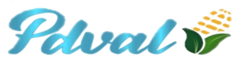 PDVAL Logo